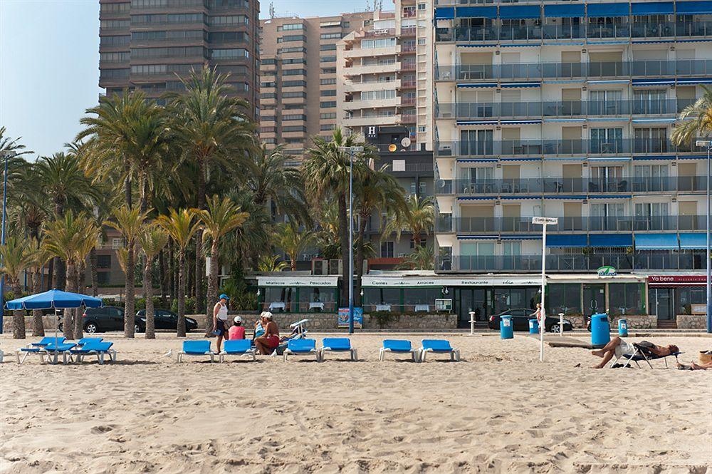 El Palmeral